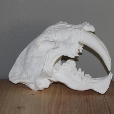 3D-printwerk